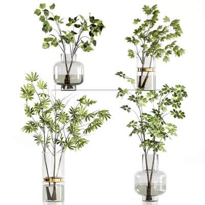 花瓶花艺 水生植物 玻璃花瓶摆件